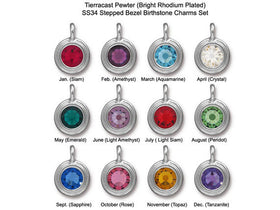 12pcs TierraCast Bezel Charms w/ SS34 Swarovski Birthstone Crystals Rhodium Plated -P6745S-BSset12 - BeadPrism