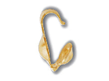 Load image into Gallery viewer, 14K Gold - Bead Tip (Clam Shell)