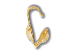 14K Gold - Bead Tip (Clam Shell)