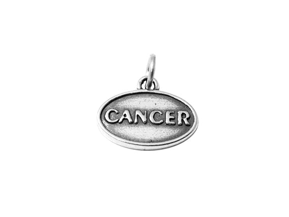 Zodiac Charms .925 Sterling Silver 14mm Horoscope Zodiac Signs Charms/Pendants - BeadPrism
