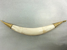 Load image into Gallery viewer, Real White Bone Tusk Pendants Double capped w/ 2 side way loops Antigue Gold Hand made 5.5"-TP152-WG - BeadPrism