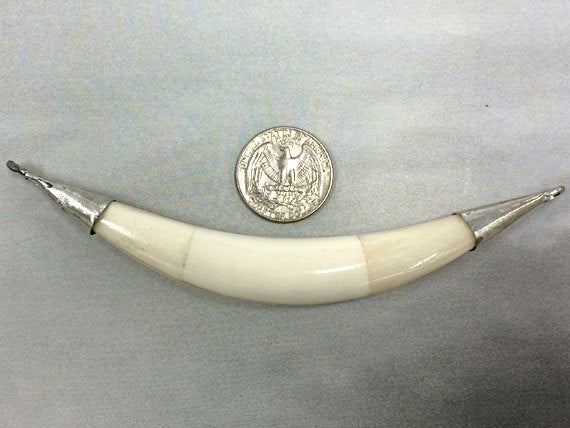 Hand Made Whitish Bone Tusk Pendant with 2 sideway loops, 5.5"- TP152-WS - BeadPrism