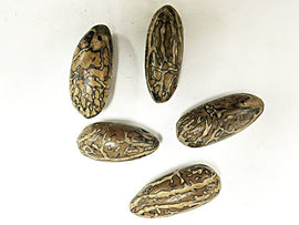 Large Focal Nut Bead Pendant 45mm top side drilled 2mm hole organic brown wood bead -NUTBEA - BeadPrism