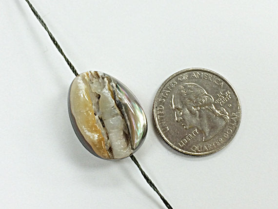 4 pc Abalone Gemstone Beads, faceted Tumbled Natural raw, 20mm x 25mm AAA quality - SABA103-4 - BeadPrism