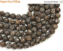 Load image into Gallery viewer, 10mm Agate Faceted Round, Mountain Brown 15" 38 Beads, Brown earth tones gemstone Beads - SAGTXXC - BeadPrism