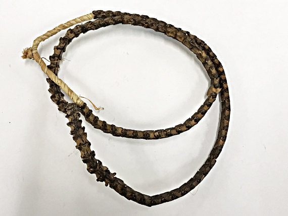 Real Snake Vertebrae Bead Strands From Africa, 10mm x 9mm approx., Snake Bone Bead Strand - SnaVer - BeadPrism