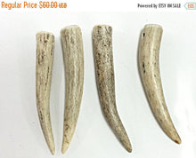 Load image into Gallery viewer, 10 Pc Antler Tip Pendant, Natural and Recycled from Annual Antler shed 2.5", 2.5mm Hole - ANTHOR-10 - BeadPrism