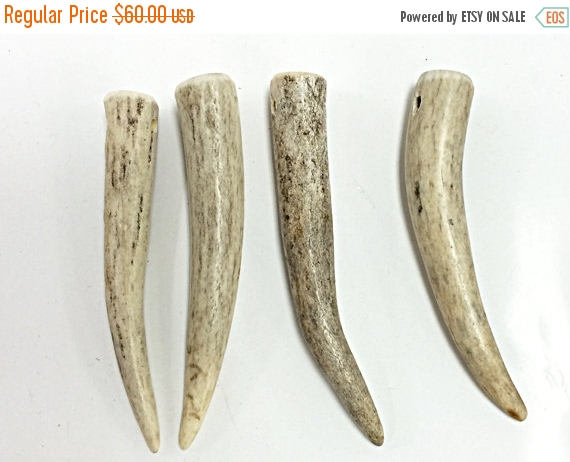 10 Pc Antler Tip Pendant, Natural and Recycled from Annual Antler shed 2.5", 2.5mm Hole - ANTHOR-10 - BeadPrism