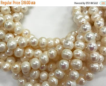 Load image into Gallery viewer, 9.5mm Fresh Water Pearls, 2.5mm Large Hole, 42 beads Roundish Potato Cream Leather Pearls - FWP703 - BeadPrism