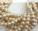 9.5mm Fresh Water Pearls, 2.5mm Large Hole, 42 beads Roundish Potato Cream Leather Pearls - FWP703