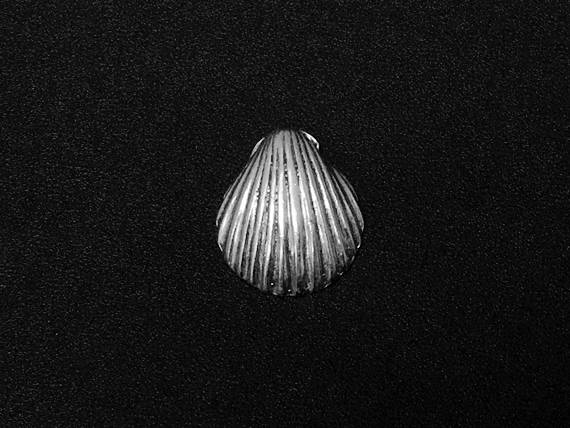 Shell Charm Sterling Silver 17mm, Nautical charms, beach charms, sea charms, Shell charms SP126 - BeadPrism