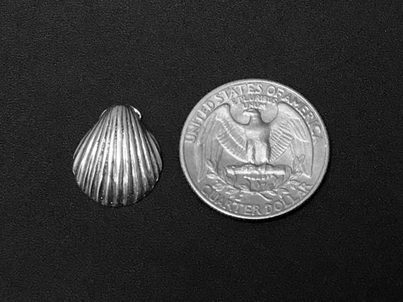 Shell Charm Sterling Silver 17mm, Nautical charms, beach charms, sea charms, Shell charms SP126 - BeadPrism
