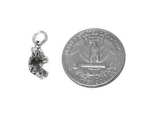 Load image into Gallery viewer, Turtle Charm Sterling Silver 17mm, Beach charm, Ocean Charm, Sea charm, Turtle charm -SP413 - BeadPrism