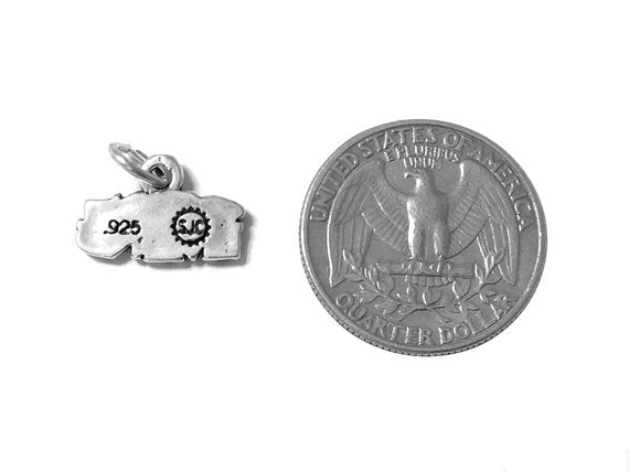 Special Friend Charm Sterling Silver 11mm, Friendship Charms, Special Friend charms - SP531 - BeadPrism
