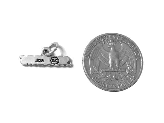 Sisters Charm Sterling Silver 7.5mm, Silver Family charms, Friendship Charms, Sisters charms - SP530 - BeadPrism