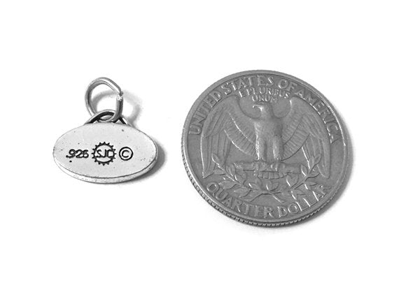 Oval with Diva Charm Sterling Silver 10.5mm, Words Charms, Oval charms, Diva Charms - SP584 - BeadPrism