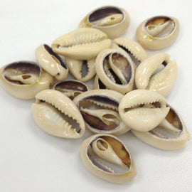 Cowrie Shells, Back-Cut Cowries, Seashells , 50 Pcs - COWSH2 - BeadPrism