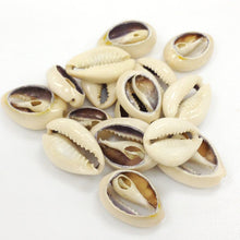 Load image into Gallery viewer, Cowrie Shells, Back-Cut Cowries, Seashells , 50 Pcs - COWSH2 - BeadPrism