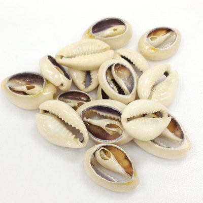 Cowrie Shells, Back-Cut Cowries, Seashells , 25 Pcs - COWSH2 - BeadPrism
