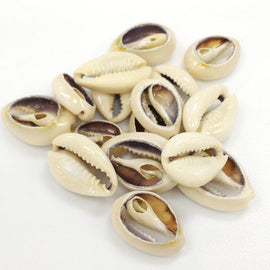 Cowrie Shells, Back-Cut Cowries, Seashells , 25 Pcs - COWSH2 - BeadPrism