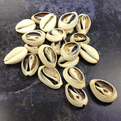 Cowrie Shells, Back-Cut Cowries, Seashells , 50 Pcs - COWSH2 - BeadPrism