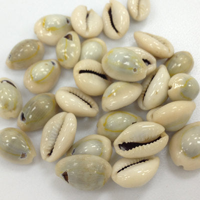 Cowrie Shells, Top Drilled Cowries, Seashells , 25 Pcs - COWSH1 - BeadPrism