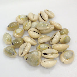Cowrie Shells, Top Drilled Cowries, Seashells , 25 Pcs - COWSH1 - BeadPrism