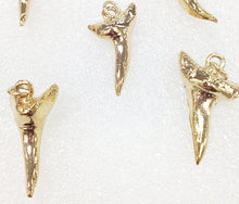 Load image into Gallery viewer, 24K Gold Plated Real shark tooth charm, Gold Plated shark teeth pendant, Gold shark teeth - STP104 - BeadPrism