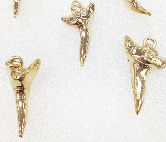 24K Gold Plated Real shark tooth charm, Gold Plated shark teeth pendant, Gold shark teeth - STP104 - BeadPrism