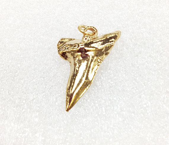 24K Gold Plated Real shark tooth charm, Gold Plated shark teeth pendant, Gold shark teeth - STP104 - BeadPrism