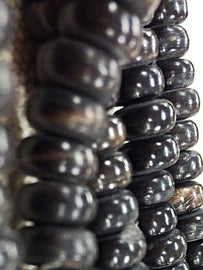 100 pc 8.5mm Rondell Horn Spacer Beads, 2mm hole, Tribal Ethnic Vintage Black Beads Strands - HS104B - BeadPrism