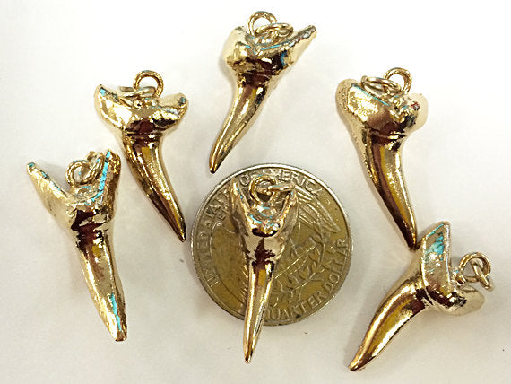 24K Gold Plated Real shark tooth charm, Gold Plated shark teeth pendant, Gold shark teeth - STP104 - BeadPrism