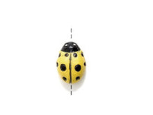 Load image into Gallery viewer, 4 Pc Tiny Lady Bug Yellow Beads, Hand Painted Ceramic Beads, Tiny 13 x 8 mm Peruvian Beads CBS - 02 - BeadPrism