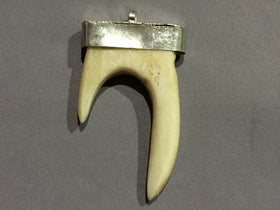 Bone Forked Pendants, Horn Tip with Silver Cap 2.4 inch, 61mm x 34mm, double horn pendants - AP425S - BeadPrism