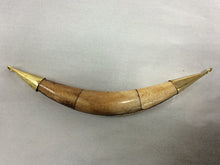 Load image into Gallery viewer, Real Bone Tusk Pendant Double capped w/ 2 sideway loop antiqued brown gold Hand made 5.5" - TP152-AG - BeadPrism