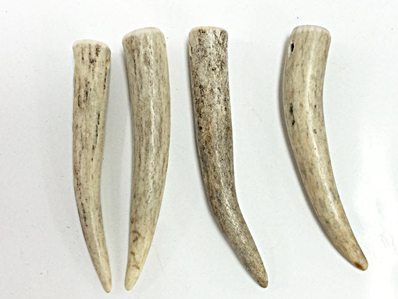 Antler Tip Pendant, Natural and Recycled from Annual Antler shed 2.5-3 inch with 2.5mm Hole - ANTHOR - BeadPrism