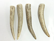 Load image into Gallery viewer, Antler Tip Pendant, Natural and Recycled from Annual Antler shed 2.5-3 inch with 2.5mm Hole - ANTHOR - BeadPrism