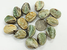 Load image into Gallery viewer, 4 pc Abalone Gemstone Beads, faceted Tumbled Natural raw, 20mm x 25mm AAA quality - SABA103-4 - BeadPrism